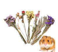 Doublure pour cage de hamster nain - 25 cm 80 g | Linge de lit pour hamster fleuri | Décoration d'habitat florale sèche naturelle | Décoration d'abri de gerbilles | Coussin désodorisant pour paire
