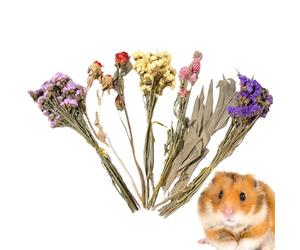 Doublure pour cage de hamster nain - 25 cm 80 g | Linge de lit pour hamster fleuri | Décoration d'habitat florale sèche naturelle | Décoration d'abri de gerbilles | Coussin désodorisant pour paire