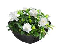 Doublures Pour Panier De ,Inserts De Remplacement Résistants,Doublure De Remplacement En Textile - Pour Usage Extérieur Jardin Et Arrière-Cour Balcon Appui Fenêtre Bureau Et Potager Mariages