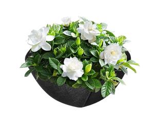Doublures Pour Panier De ,Inserts De Remplacement Résistants,Doublure De Remplacement En Textile - Pour Usage Extérieur Jardin Et Arrière-Cour Balcon Appui Fenêtre Bureau Et Potager Mariages