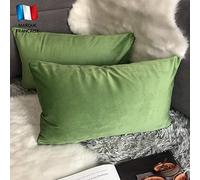 Douceur De Plumes Lot de 2 Housse de Coussin décorative Vert Pomme Velours 40x80 cm Uni, Taie d'oreiller Carré Doux et Moderne, Décoration Salon Scandinave Canapé Chambre (2 Vert Pomme)