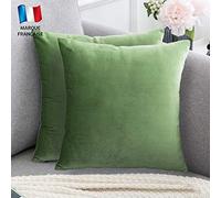 Douceur De Plumes Lot de 2 Housse de Coussin décorative Vert Pomme Velours 60x60 cm Uni, Taie d'oreiller Carré Doux et Moderne, Décoration Salon Scandinave Canapé Chambre (2 Vert Pomme)