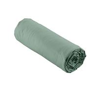 douceur d'intérieur, Drap Housse (160 x 200 cm) Percaline Tilleul, Percale de Coton