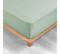 douceur d'intérieur, Drap Housse (180 x 200 cm) Percaline Sauge, Percale de Coton