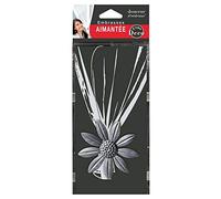 Douceur d'Intérieur, Embrasse Aimantée (l 30 x (0) 8 cm) Margery Gris/Argent, Métal Patiné