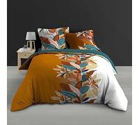 Douceur d'Intérieur Parure 3 Pièces (240 x 220 cm) Yucca, Percale de Coton