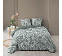 Douceur d'Intérieur Parure de lit 3 pièces Morgane 100% coton 57 fils Sauge 260 x 240 cm
