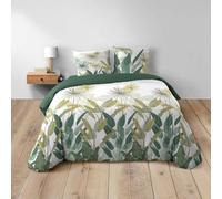 Douceur d'Intérieur, Parure de Lit 3 Pièces (240 x 220 cm) Otika Vert, 100% Coton