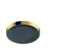 hansgrohe douche de Rainfinity 26229990 1jet, montage au plafond / mural, 9 l / min, optique or poli