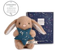 Doudou et Compagnie - Petit Doudou Lapin Capricorne 12 cm - Doudou Bébé Collection Astro - Constellation Zodiacale Brodée - Idée Cadeau Naissance Bébé Fille Garçon Sommeil Doux - DC4660