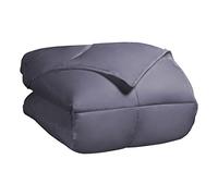 Doudou Classique Toutes Saisons Duvet Alternative supérieure avec Cassettes Boîte Construction, Argent, King