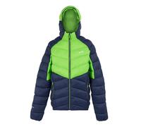 Regatta Dalent Jacket Vert,Bleu L Homme