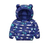 Doudoune Enfant Fille Garçon Veste Doudoune d'hiver Doublée Polaire Avec Capuche Fermeture éclair Manteau Peluche épaisse Matelassée Chaude d'extérieur Neige Vêtements Pour d'extérieur