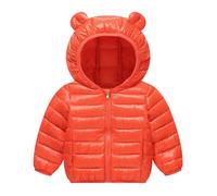 Doudoune Enfant Fille Manteau Parka Epaisse Veste à Capuche Chaud Hiver Blouson Matelassé Puffer Jacket Manteaux et Blousons Très chaud Vêtement de Plein Air Filles et Garcon pour 1-6 Ans