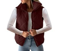 Doudoune Femme Sans Manches - Gilet Duvet Matelassé Veste Doudoune Coupe Classique Femme Manteau Sans Manche Femme Gilet Court Gilet Thermique Slim Casual Zip Matelassé Automne-Hiver Simple Blouson