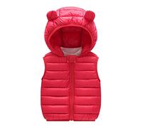 Doudoune Hiver Manteau à Capuche Enfant sans Manches, Blouson GarçOn 1-5 Ans Hiver Chaud ÉPais Coupe-Vent Doux Et Confortable Fermeture à GlissièRe LéGer ExtéRieur pour Le Quotidien Couleur Unie