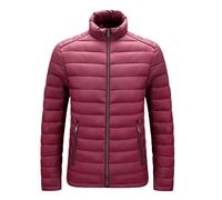 Doudoune Homme Longue Blouson De Marque Manteau Chaud, Manteau Courtes sans Capuche Zipper Coupe Ajustée Doudoune Homme Matelassée Basique Couleur Unie Blousons Épais Épaissir Coupe-Vent Casual