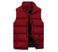 Doudoune sans Manche Femme Courte, Manteau Chaud Femme Grande Taille, Manteaux Décontracté Unisexe Veste Zippé avec Poche Gilet Couleur Unie Polyvalent Doudoune Automne Outerwear Manteau