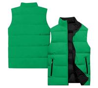 Doudoune sans Manches Homme À Fermeture Éclair, Gilet Chaud Homme avec Poches Col Droit Couleur Pure sans Capuche, Gilets Légère Cyclisme - Vetement Hiver Sport Mode Vert M