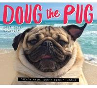 Doug the Pug 2027 Box