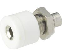 Douille banane Ø de la broche: 2.6 mm Schnepp 187 WEISS blanc