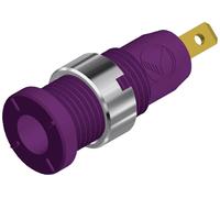Douille banane Ø de la broche: 2 mm Hirschmann Test & Measurement MSEB 2610 F 2,8 Au 975455709 violet