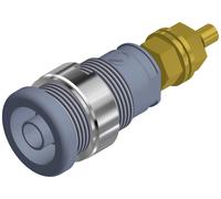 Douille banane de sécurité Ø de la broche: 4 mm SKS Hirschmann SEB 2600 G M4 972354106 gris 1 pc(s)