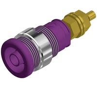 Douille banane de sécurité Ø de la broche: 4 mm SKS Hirschmann SEB 2600 G M4 972354109 violet 1 pc(s)