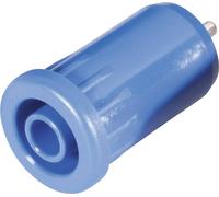Douille banane de sécurité Ø de la broche: 4 mm Schnepp BU 4800 bl bleu