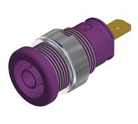 Douille banane de sécurité Ø de la broche: 4 mm SKS Hirschmann SEB 2610 F4,8 972355109 violet 1 pc(s)