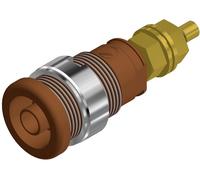 Douille banane de sécurité Ø de la broche: 4 mm Hirschmann Test & Measurement SEB 2600 G M4 972354105 marron 1 pc(s)