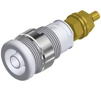 Douille banane de sécurité Ø de la broche: 4 mm SKS Hirschmann SEB 2600 G M4 972354107 blanc 1 pc(s)