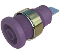 Douille banane de sécurité Ø de la broche: 4 mm SKS Hirschmann SEB 2610 F4,8 972355109 violet 1 pc(s)