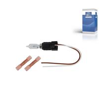 DT Spare Parts 3.32922 Douille d'ampoule