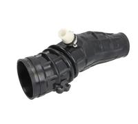 Thermotec Tuyau d'aspiration DCD019TT pour filtre à air