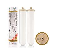 Doulton 10" Biotect Ultra | 2 Pièces | Filtre à bougie en céramique authentique pour eau potable | Convient aux systèmes sous évier avec raccord M12 | Réduit les contaminants| Certifié NSF | 2501