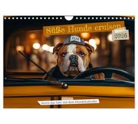 Doux chiens cruising - à travers l'année avec le calendrier canin, Version française (Calendrier mural 2026 DIN A4 portrait), Calendrier CALVENDO mensuel