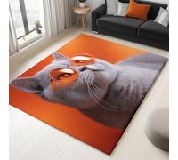 Doux Tapis de Moderne, Lavable Tapis Imprimé Portraits d'animaux Chats à Poils Courts - Paillasson Antidérapant Moquette pour Chambre Salon - Gris 60 x 90 cm