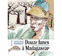 Douze lunes à Madagascar: Carnets de vagabondages