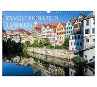 Douze mois à Tübingen, Version française (Calendrier mural 2026 DIN A3 portrait), Calendrier CALVENDO mensuel
