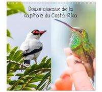 Douze oiseaux de la capitale du Costa Rica (calendrier mural carré 2026, 30 x 60 cm (ouvert)) Calendrier double avec une page pour vos prises de notes