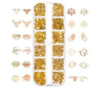 Douze signes du zodiaque Pendentif à thème Zodiaque Autocollant pour ongles Dos plat 12 signes du zodiaque Alliage pour ongles Paillettes Artisanat Fabrication de bijoux Accessoires et accessoires