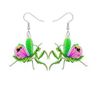 DOWAY Boucles d'oreilles drôles en acrylique - Boucles d'oreilles pendantes - Coccinelle verte - Bijoux étrange insecte - Cadeaux pour les femmes et les amoureux de la nature, M, Acrylique, Pas de