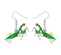 DOWAY Boucles d'oreilles drôles en acrylique - Boucles d'oreilles pendantes - Coccinelle verte - Bijoux étrange insecte - Cadeaux pour les femmes et les amoureux de la nature, M, Acrylique, Pas de