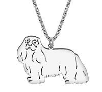 DOWAY Collier En Acier Inoxydable Avec Pendentif En Forme De Race De Chien Bijoux pour Chiots Cadeaux pour Les Femme Filles Chien Maman Souvenirs Charms (Cavalier King Charles Argent)