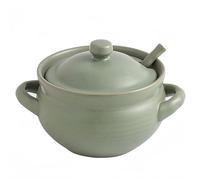 Dowbom Bols à soupe avec couvercle, passent au four, micro-ondes avec cuillère, tasse à soupe (vert, 414 ml) BL-SP-002