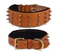 DowgClub | Collier pour Chien en Cuir véritable | Pleine Fleur, Robuste | Rembourré, Confortable, Solide, idéal pour Les Grandes Races de Taille XL | 5,1 cm de Large (L (Convient pour Un Tour de Cou