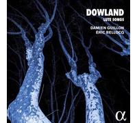 Dowland : Chansons pour luth CD