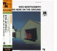 Down Here on The Ground