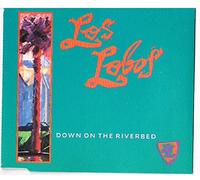 Down on The riverbed [Import]